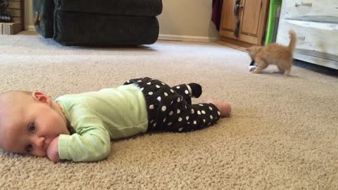 Feisty Kitty Steals Baby's Sock Right Off Their Foot