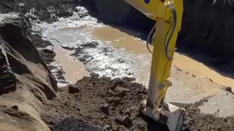 Managed to lean) Excavator