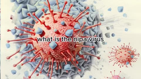 Nipah virus #nipah #nipahvirus