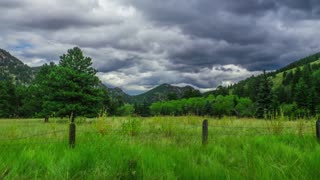 A Time Lapse Shot of a Field in it's Natural Environment