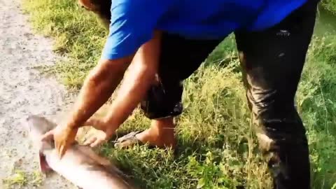 amazing fishing in flowing water catch monster fish