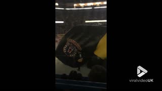 Giant inflatable panther entertains hockey crowd