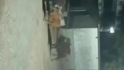 Lions In Vileg Attack on Cow.
