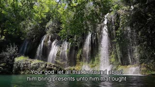 The bible-19-76-Psalms
