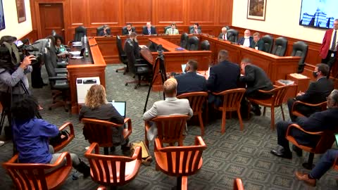 Mayor of Benton Harbor / Candyman Testifies at Michigan Oversight Committee