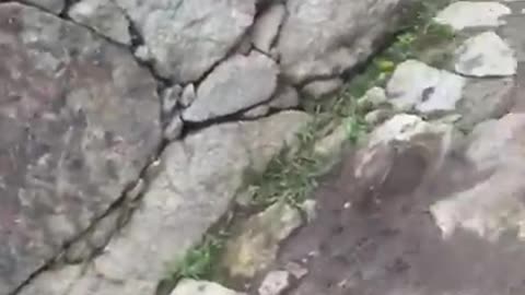 Machu pichu into wall backflip