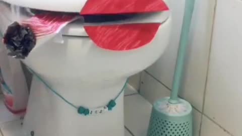 Friday Vibes Funny Toilet Creation