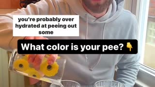 [2023-12-29] What your urine color says about your health!