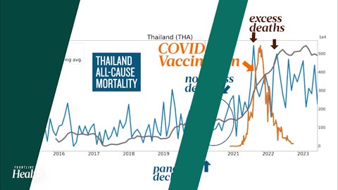 Post-2020 Excess Deaths Coincide With Vaccine Rollout, Not Start Of “Pandemic”
