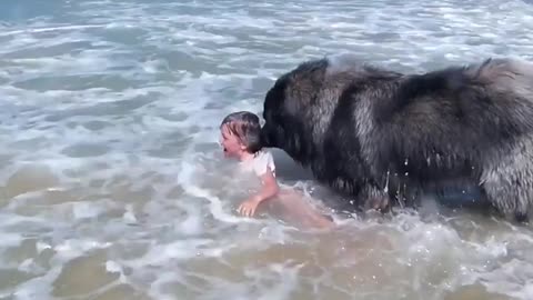 The whole family went swimming, told him to look after him and the ending