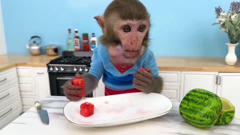 Monkey Baby Bon Bon moves into new house and plays toy car with puppy so funny