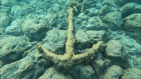 Scuba Diver Discovers 900-Year-Old Crusader Sword off the Carmel Coast