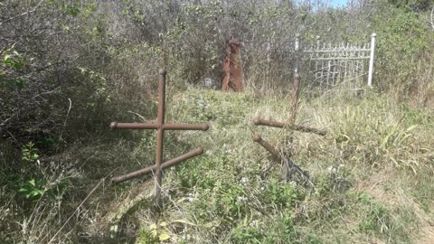 Old cemetery