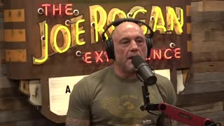 Joe Rogan Explains How Dems' Plan Is Blowing Up In Their Faces to Chris Rufo