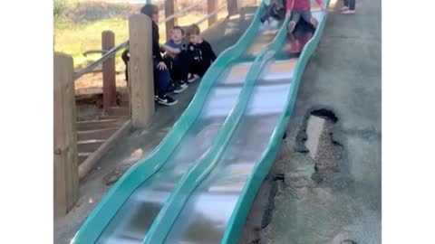 Dog having fun like a kid .This dog knows proper slide etiquette 😂🥺...