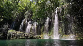 Waterfall in forest