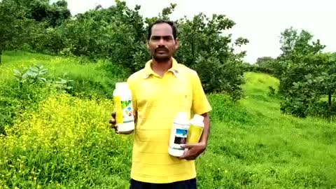 Organic India