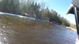 Wolf River Trout Fishing 3-20-21