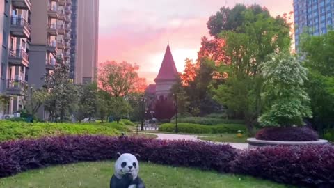 The castle at sunset