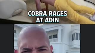 COBRA RAGES AT ADIN