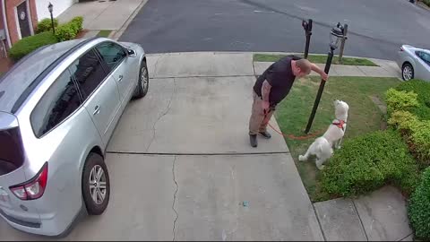 Man Gets Hurt After Slipping on Chalk in Driveway While Taking His Dog on Walk