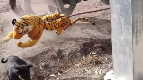 Wow Nice Funny!!! Fake Tiger Prank Dog Run Try Stop Laughing