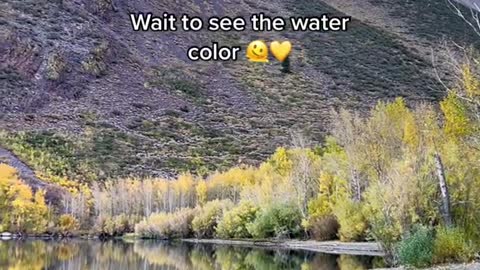 Wait to see the water color