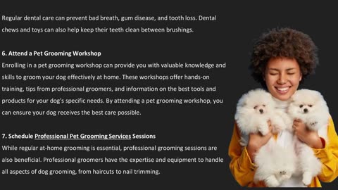 Top Dog Grooming Tips: How to Keep Your Canine Looking and Feeling Great — The Pets Workshop