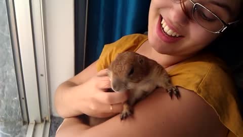 Prairie dog yahooing