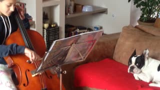 Dog sings while girl plays cello