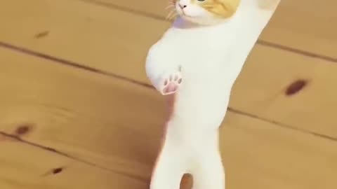 funny cat dance 🤣😂🤣🤣😹
