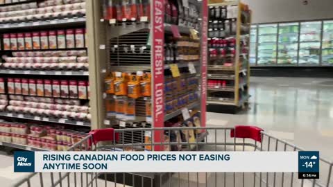 Rising Canadian food prices not easing anytime soon