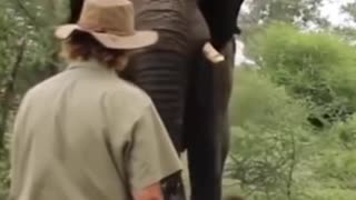 Elephant attack on a man a trainer control #shorts #wildlife