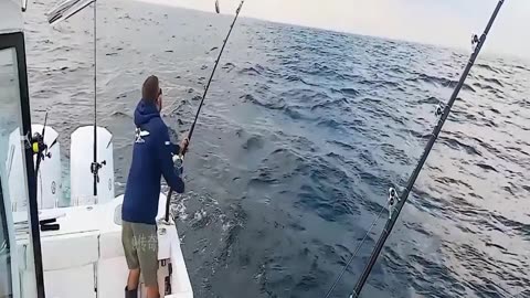 Two people go out to sea to hunt tuna.