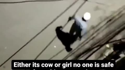 Animal abuse: Muslim raping a cow caught on camera