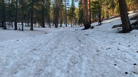 Yaktrax vs. Snowshoes – Upper Three Creek Lake Sno-Park – Central Oregon – 4K