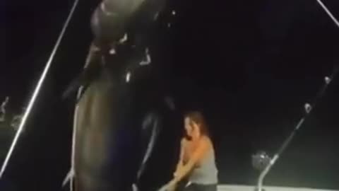 Women catches 1500 plus pound bluefin tuna dolo