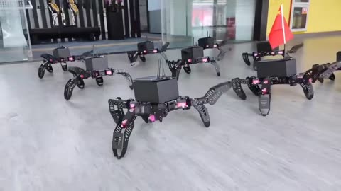 Chinese spider robots