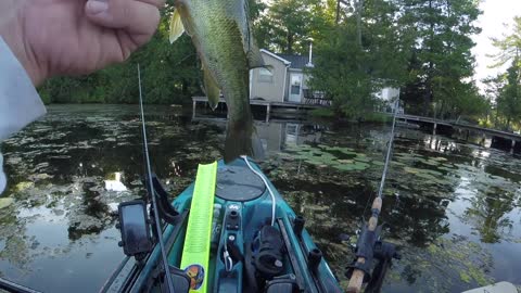 Bass Fishing Kawartha Lakes