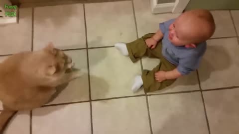 Babies Funny Laughing Hysterically at Cats Compilation