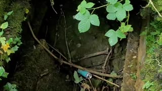 Abandoned Burial Ground in Shipley | Bradford