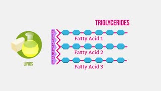 Biological Molecules