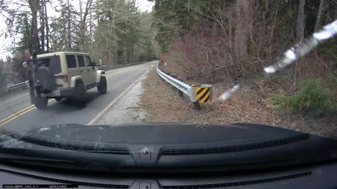 Tree Branch Falls On Windshield