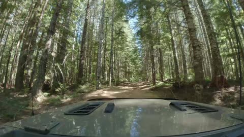 TSF (Tillamook State Forest) - Firebreak Five - Jul 2023 - Jeep Badge of Honor