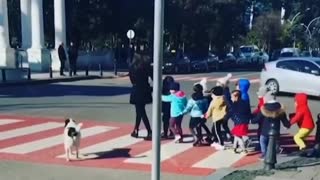 Dog Help Kids To Cross The Road