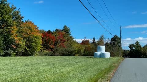 The Beauty of Peak Fall Foliage 🍁 Autumn in New England Part 1-7