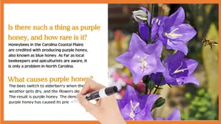 What is Purple Honey?