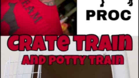 How to crate train your dog. Bonus potty training advice