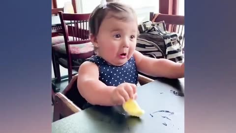 FUNNY BABIES Eating Lemon for the First Time v1