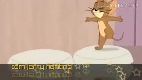 FUNNY CAT MOUSE FIGHT ⚽ ⚾ 🏐